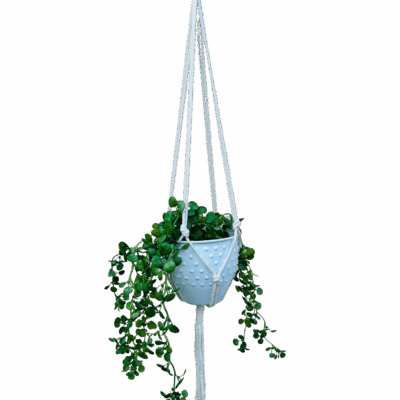 740cb90117e32099f0d3ecd63e921db1