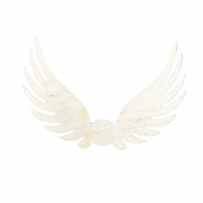 1b21f742ccc729f3208a892fa1c3602b