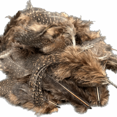 4bedaf1ccd389508e6f977a4fc8460cf