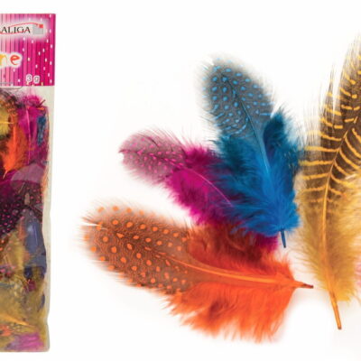 2ec8c091b16878fc3623fae0c9219576