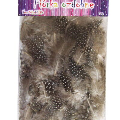 767e071f17351cad9c40cebdf8181d28