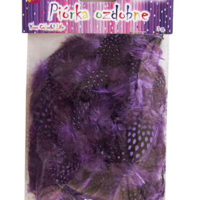 255b8f7708e1b242ec4847249758a6dc