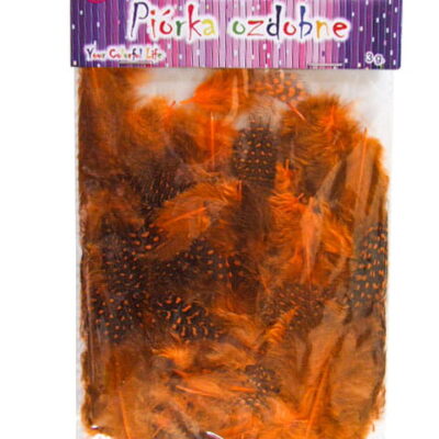 3913ec06f3e80df646d15f710b10d72c