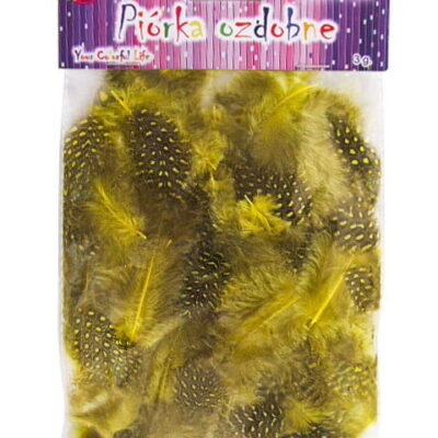 be92a876e8855dea661251ca5bd43702