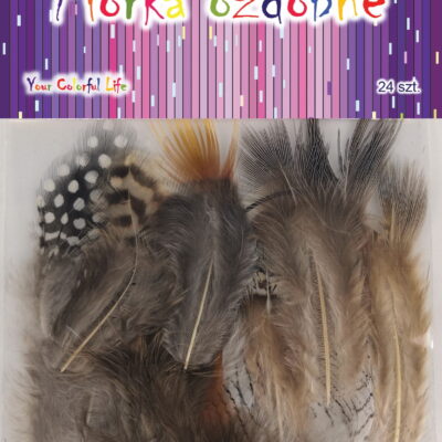 b9c965f6326a810be2eb949f6f1e18f9