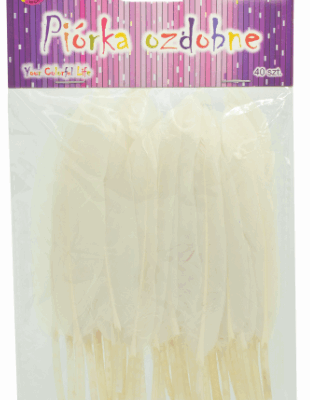 1003c55117486c0b5b291c9c86534077