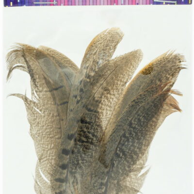 e08a7df7ec5258dc0aeab97e8039c544