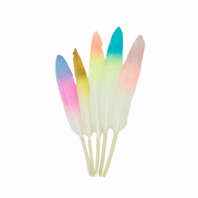 65bebd5a366462daedf54c3fa567dc0e