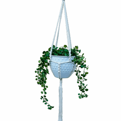 cd18cb0d39013f1ba1f6b6766746dbbb