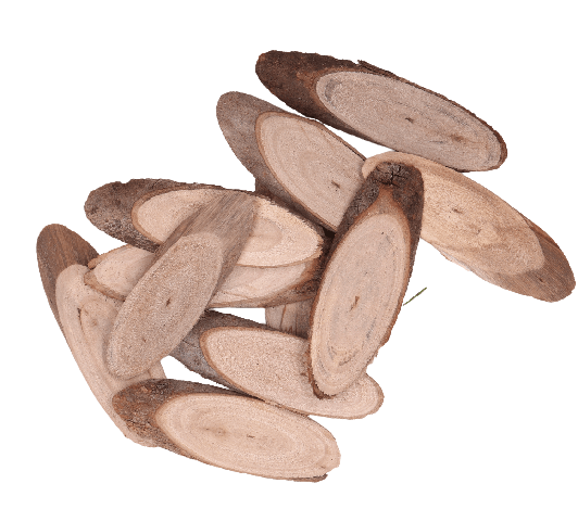 c11002a2b4187b816923500ea2a7e4ad