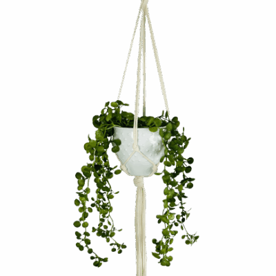 6c2341a482acb56b7ebf1eff14bed540