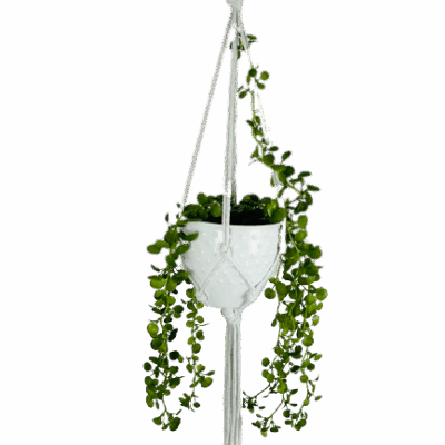 7c1fbc0c2cf113fe65954b515f662262