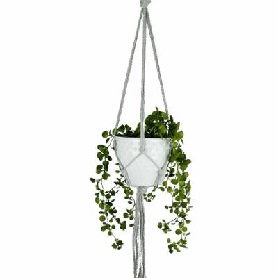 22663f453f7d13259e46448a6771a2e5