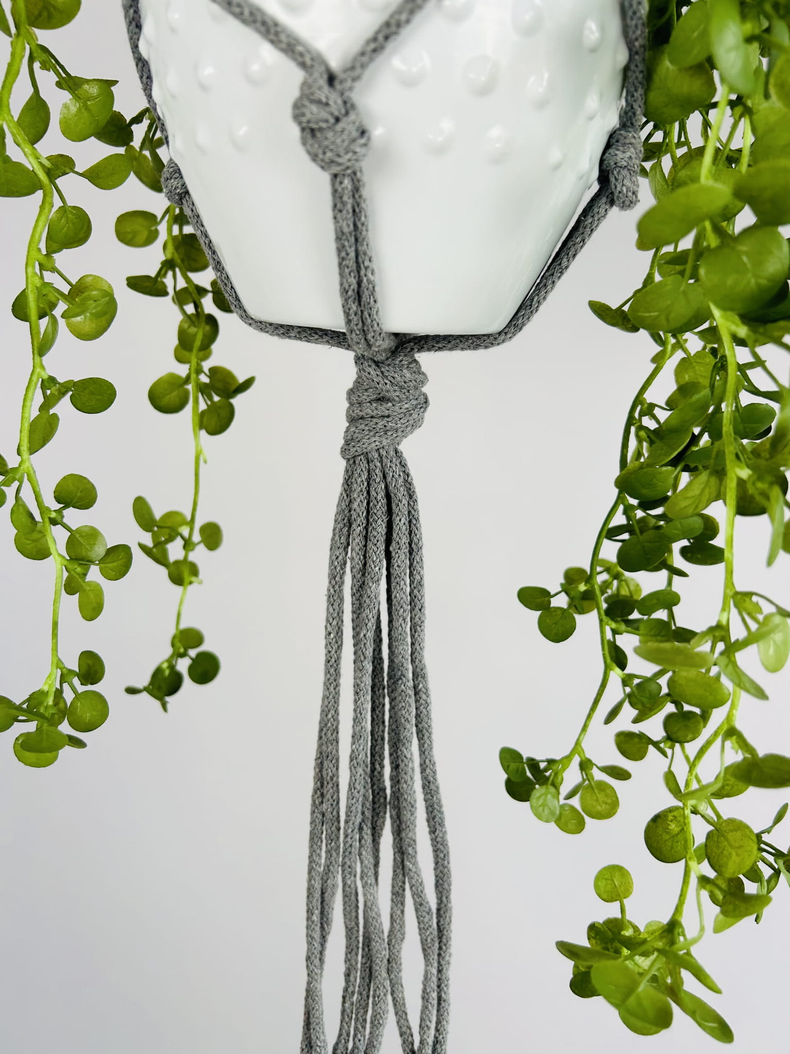 8bc0c65934f9ef4294dd9917d734da77