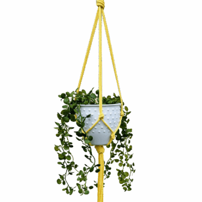 70cb9e51e5dc6f8aea8782577cea36b8