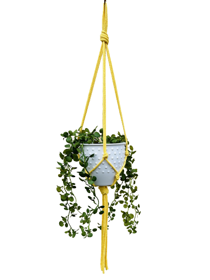 70cb9e51e5dc6f8aea8782577cea36b8