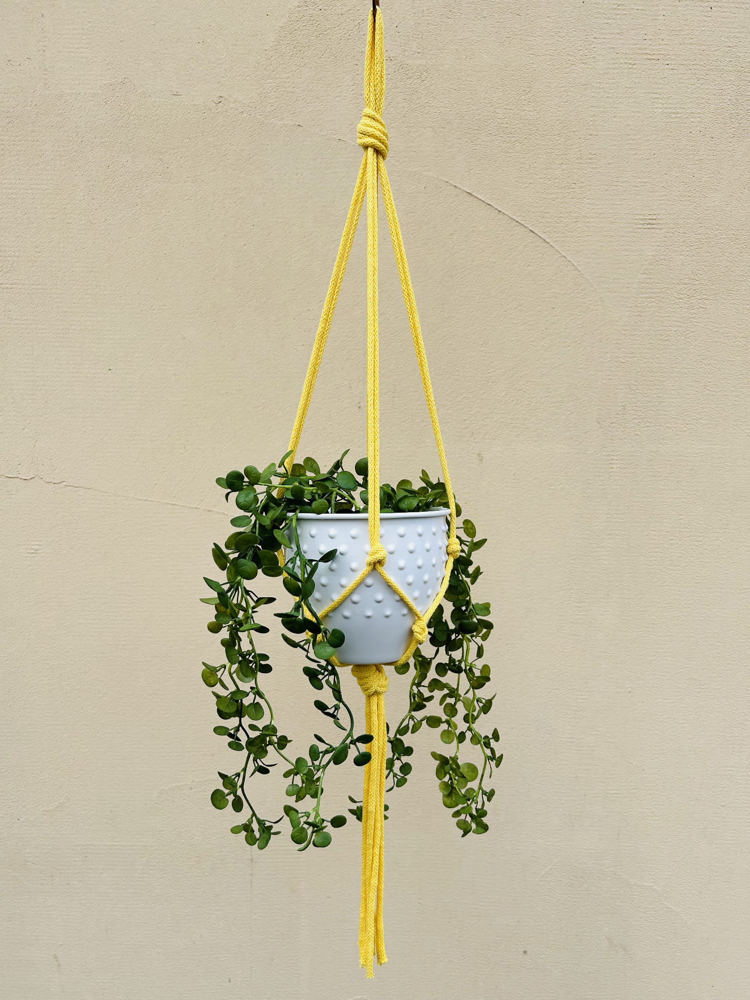 699cdf48c26542ee2ded0a1272ddb081