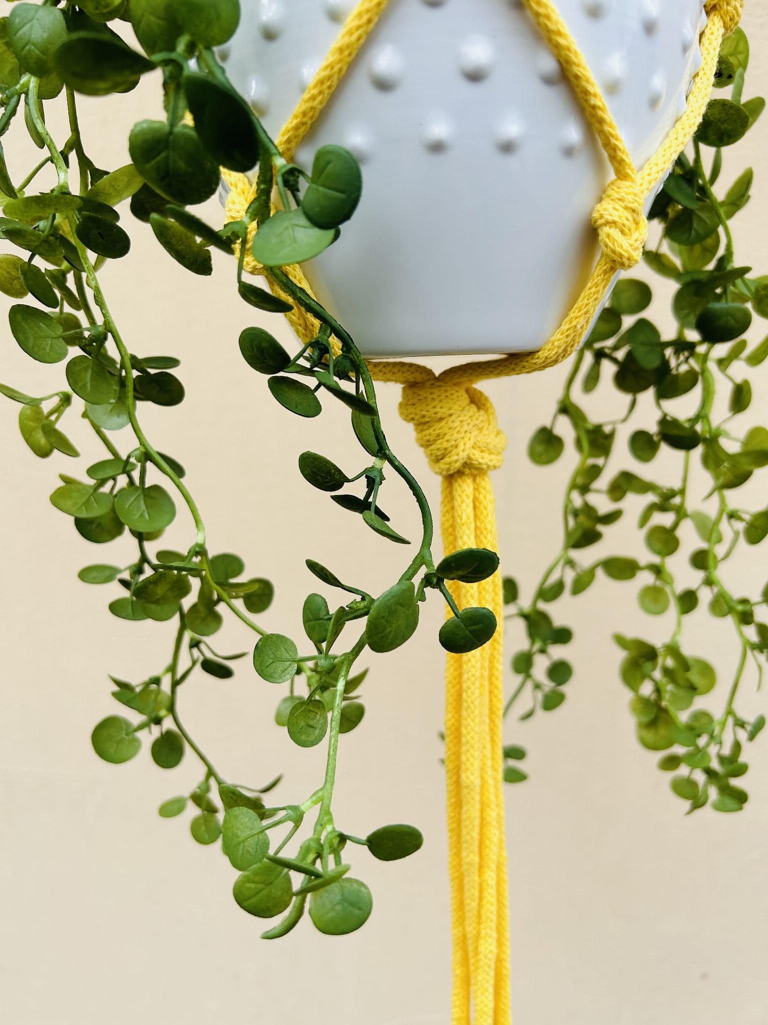 f36b6dc5936f0a212dcd3f049b2fac53