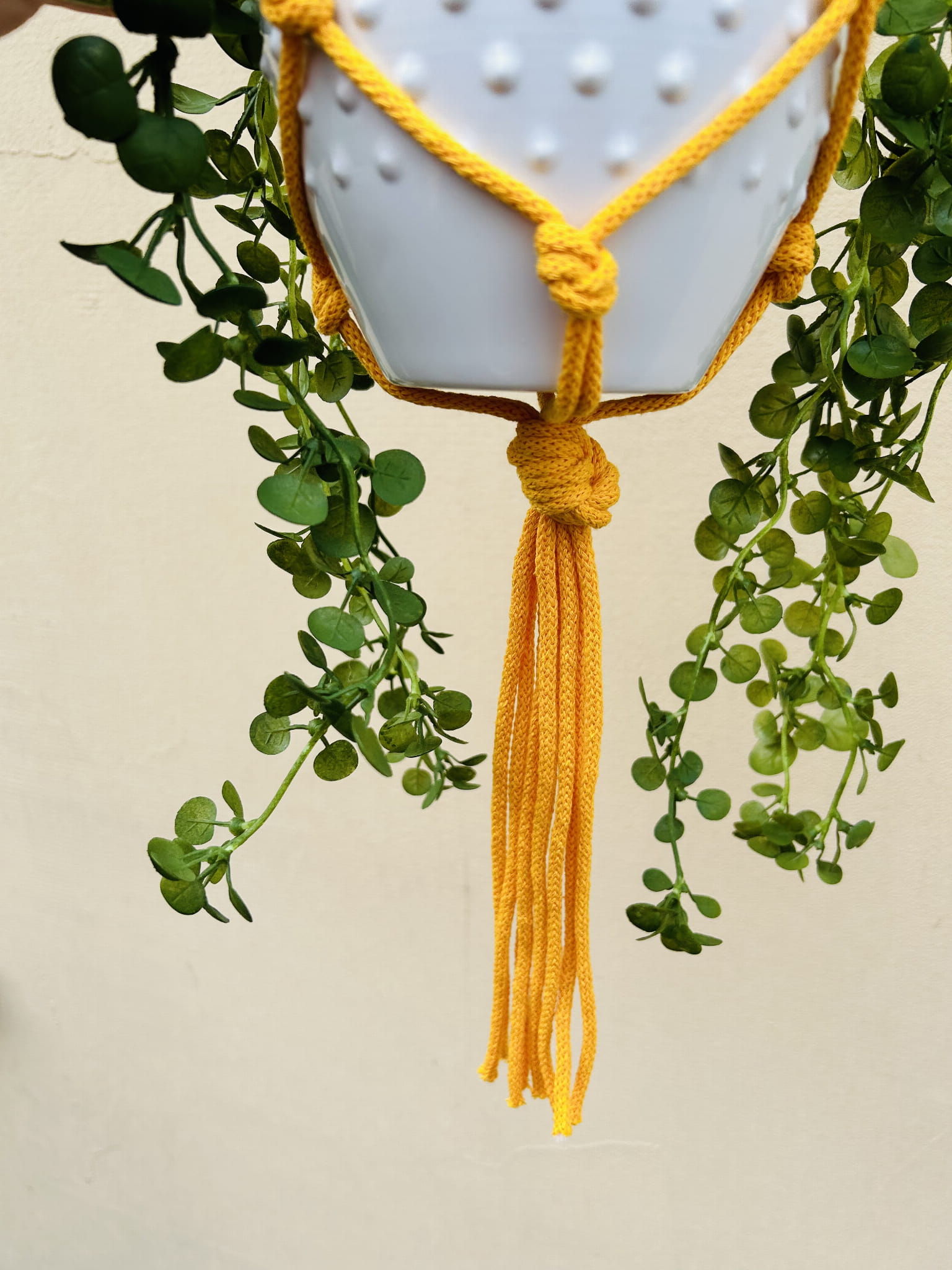 d5adbfeaaba32f83b62d93ce0cf532c7