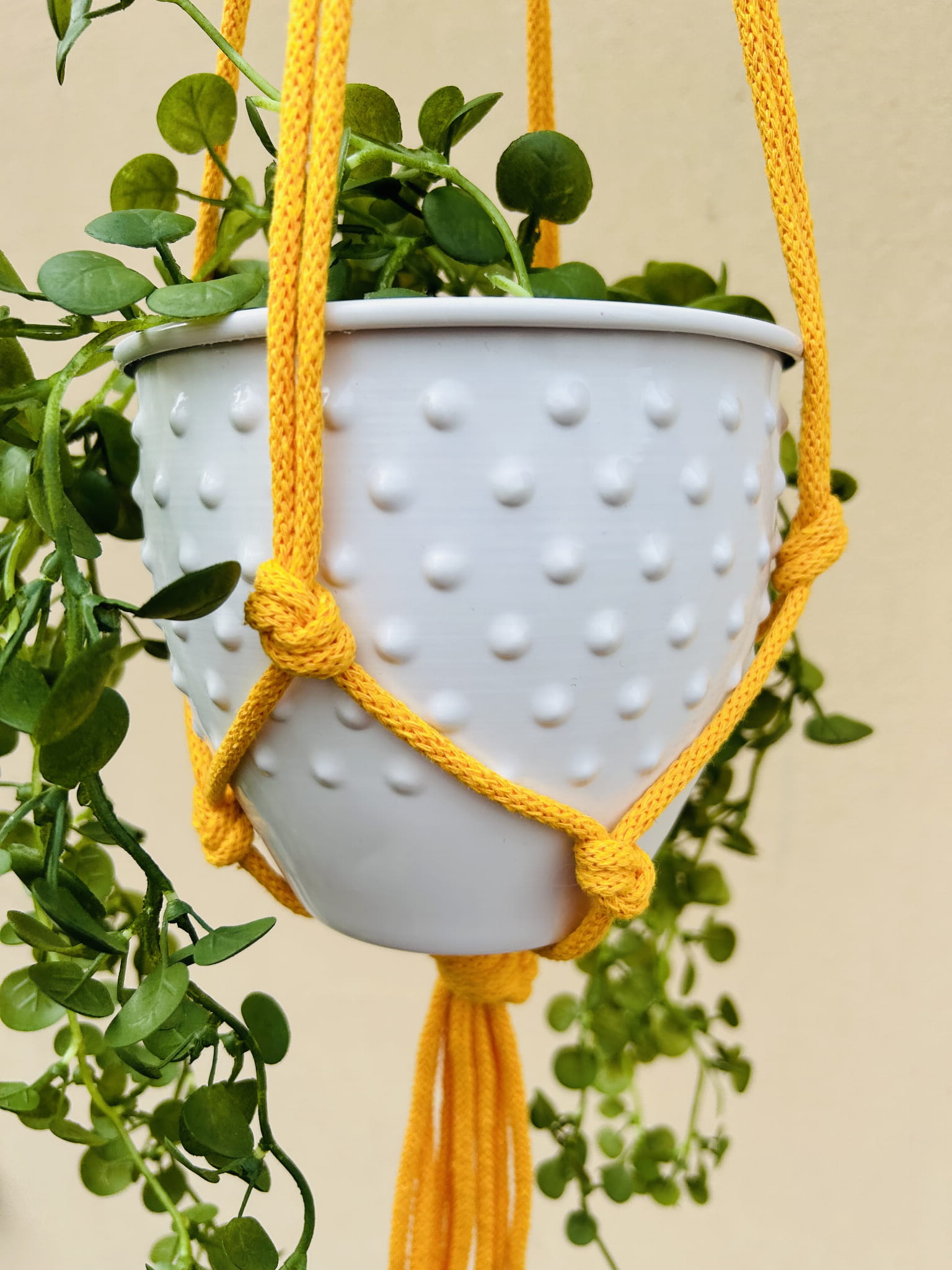 2529eb91bf502e8bb2b6e4b9cb326b93