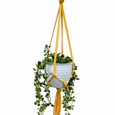 431bfa8ba6ac4152117cdb229d16bb1d