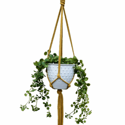 70082055d09ae26e2630fb498c57f402