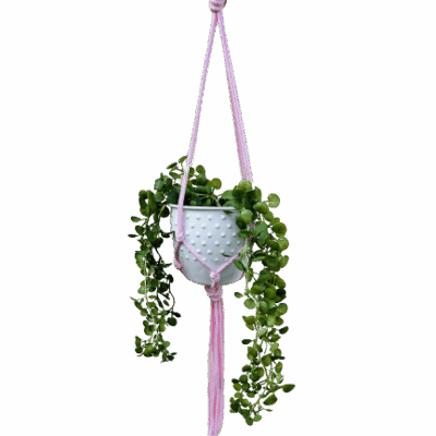 1d4d777ade4d978170ea81b1bdd12837