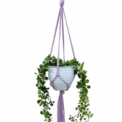 de8a78ea0af495c818e0a1c1f22de512