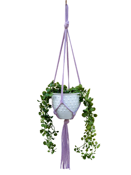 de8a78ea0af495c818e0a1c1f22de512