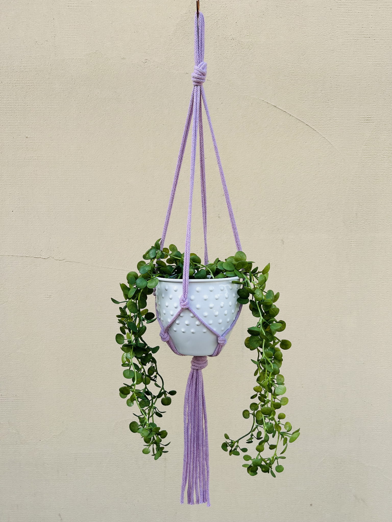 6ef59b40f23746aa0fc068bff42b9bfc