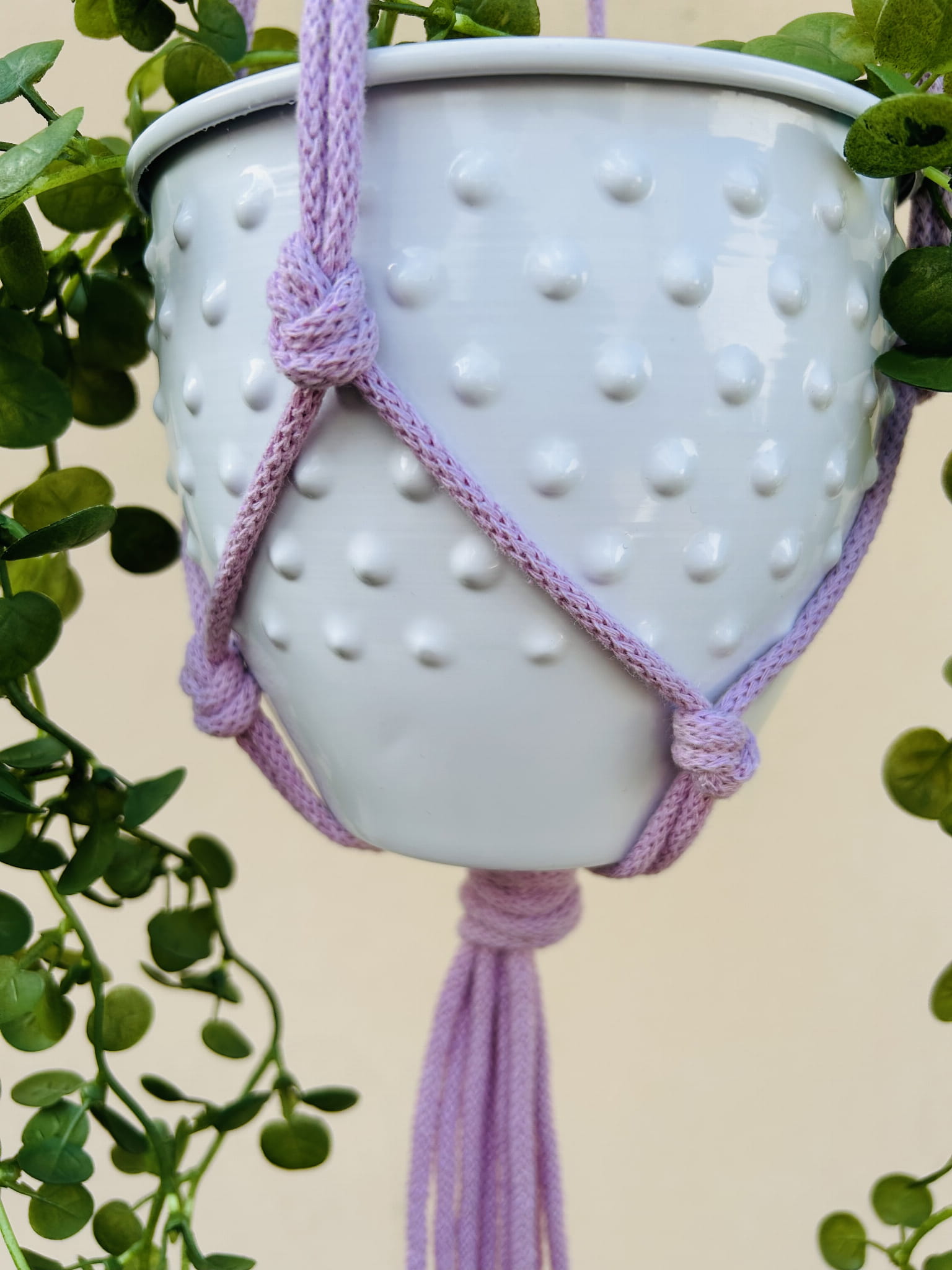 d8eec09e8d77d9eb2e1042aee58b0e9d