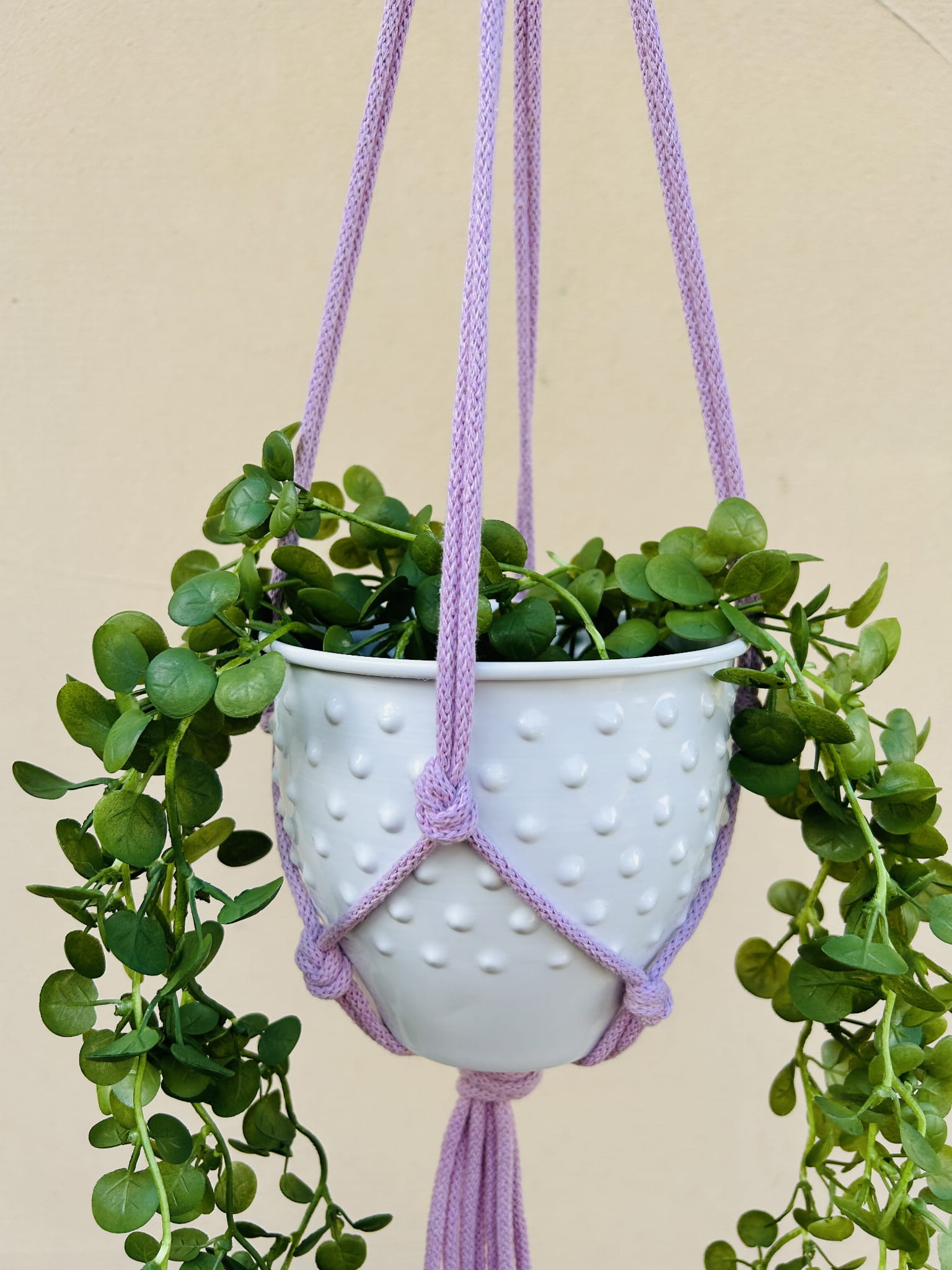 b0e2931a4b6e04a98abf906ddc176ec2