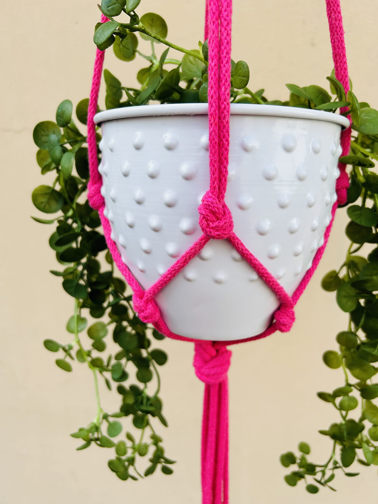 b18a0c75e52e8fa46fa1b63c7091c0f5