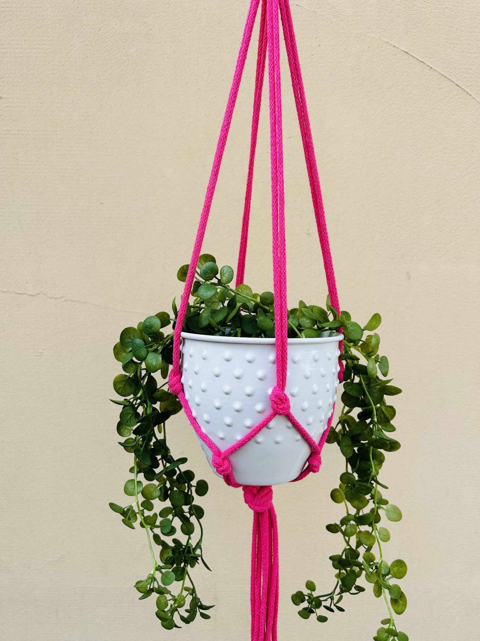 e362fc0bbd61e5c7afdab4ea6f3f207e