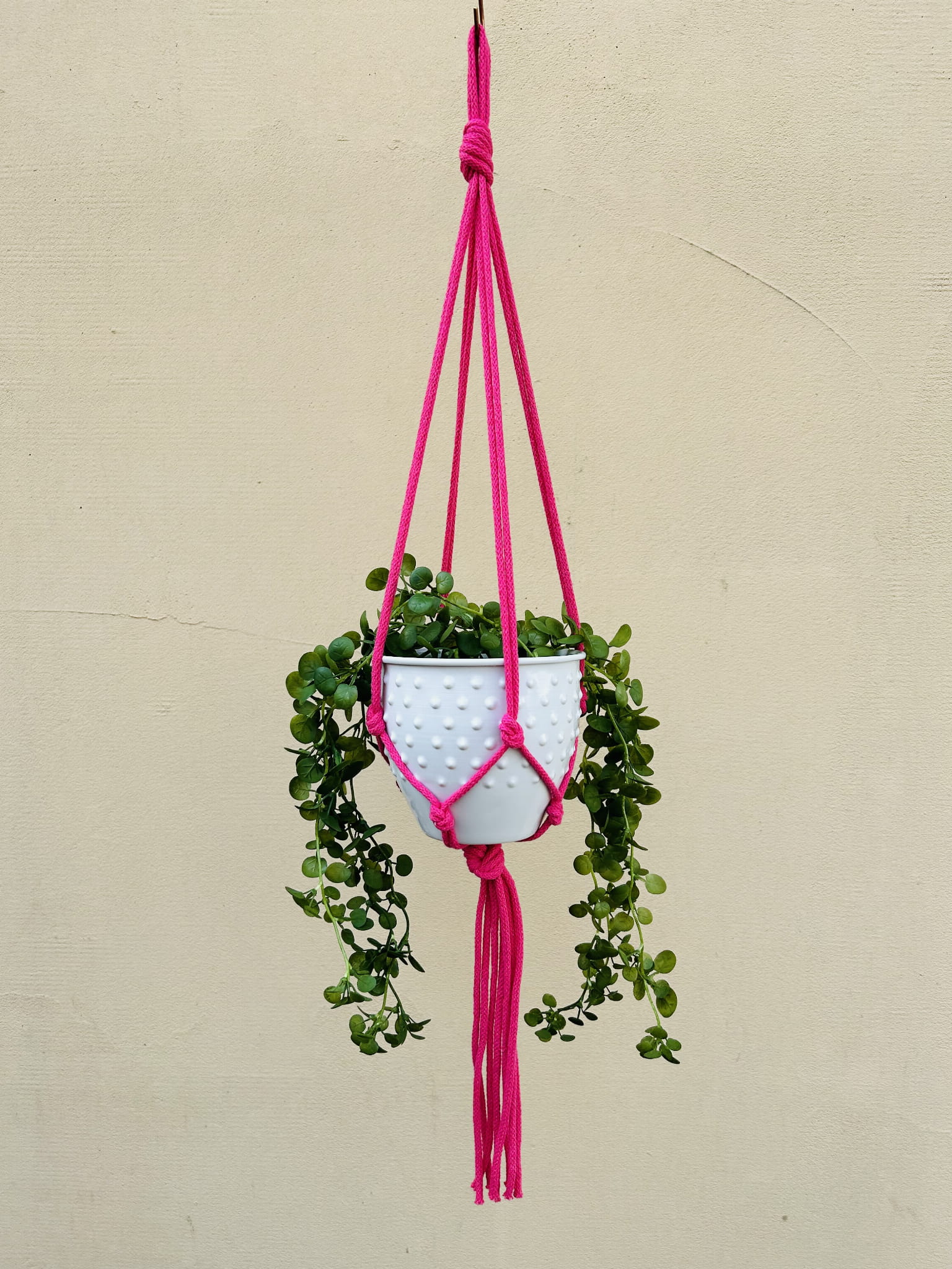 f258dd18708406cadb0b2855bd24c418