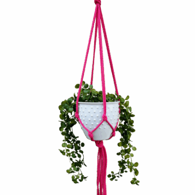 37e7d07b0d63c12a63eaad5665e80f81