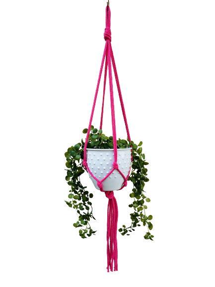 37e7d07b0d63c12a63eaad5665e80f81