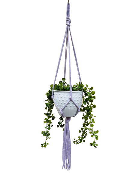 41d2790603396e24a7f6466596861543