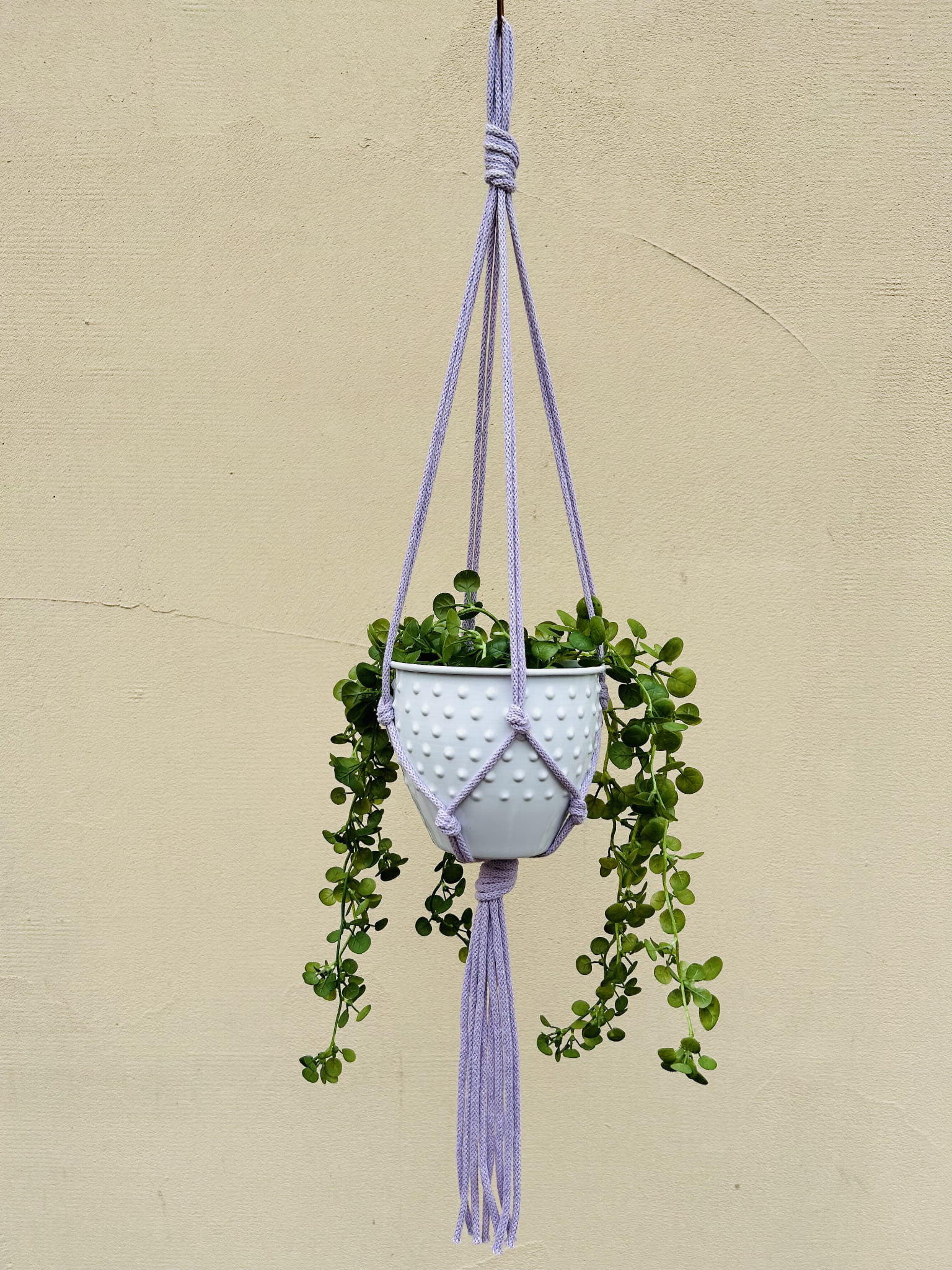 885293c3ec16a3cc57e3e9b790a4441f