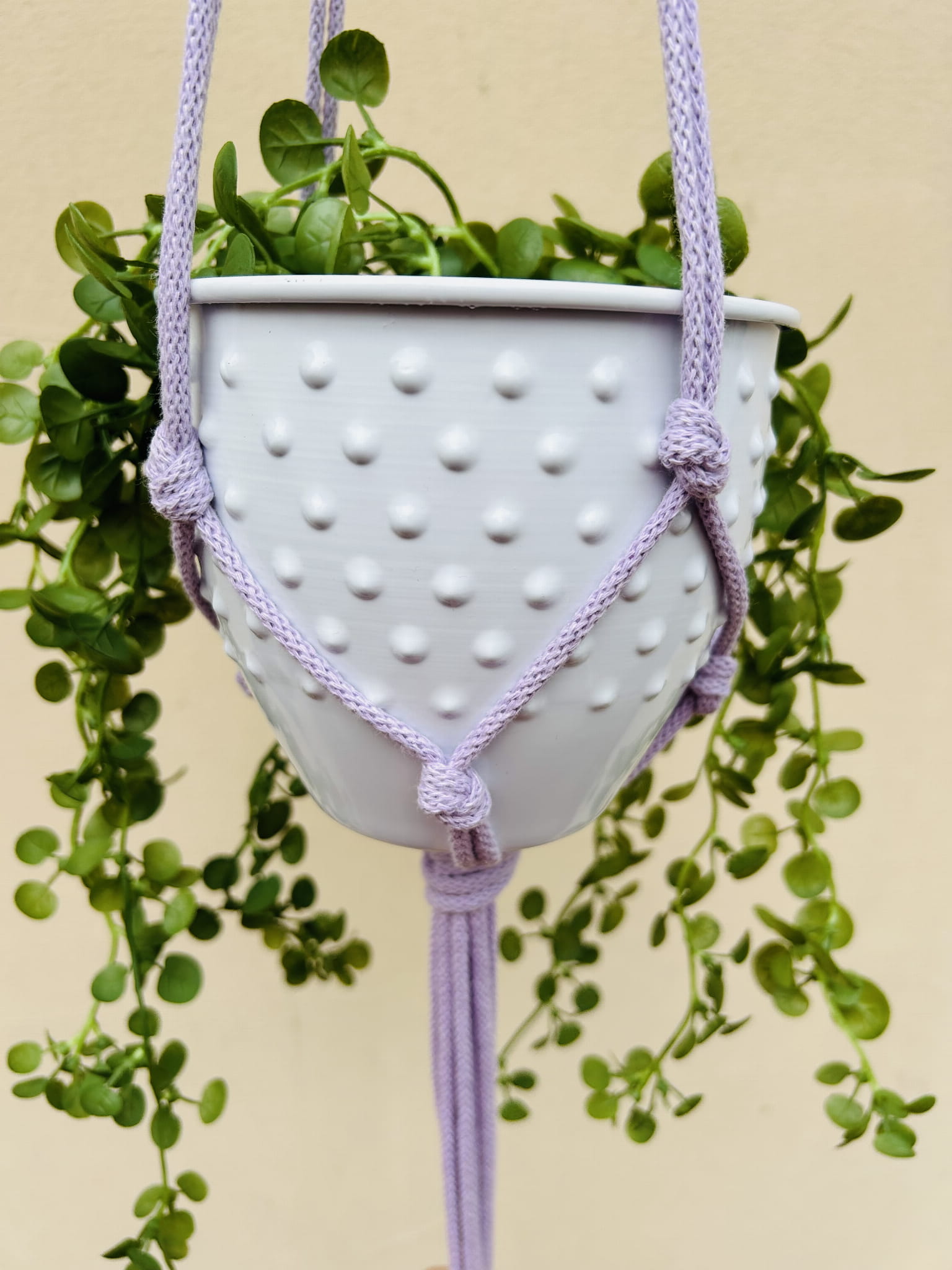 012a0c1d365e3e41861ed885b25e42b1