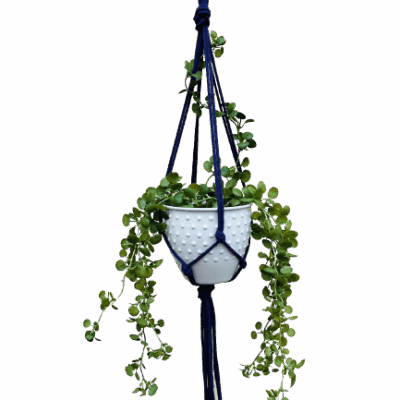 44fd26da7fdbb6a71a7a18f4a65fd6a2