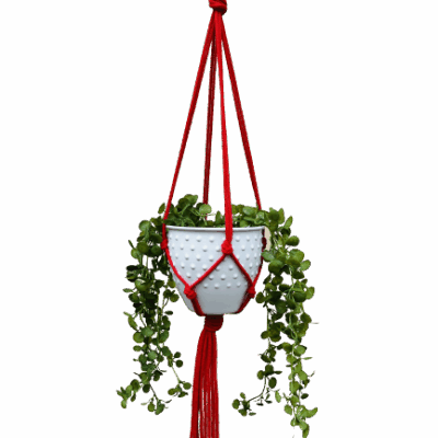 9270ff4855bf816c9951415f8321c9bb