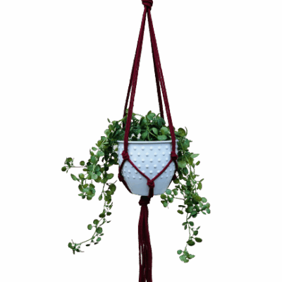 8c43de7aaf1bcba3432cb9a0fae59136