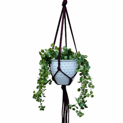 8aba1933d01d421a0d5d55762f01f1da