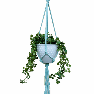 552b1b98f924c304df4f324737d23155