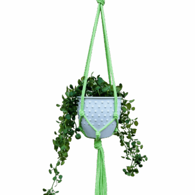 6b12c8bcb7ce9701a7465cf05baaec61