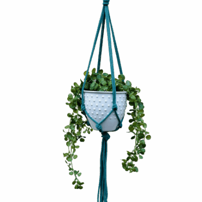 cf0914c486eefcf56cb4c5bee66c8eca