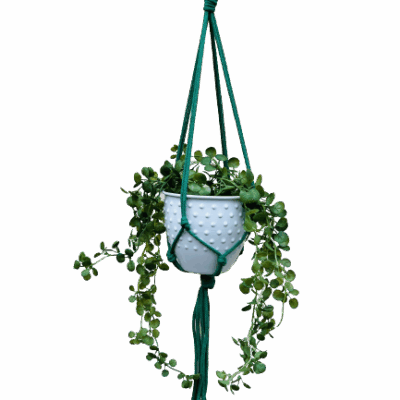 a0d438e21e4c268f8ac84c0b32c35d5b