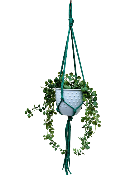 a0d438e21e4c268f8ac84c0b32c35d5b