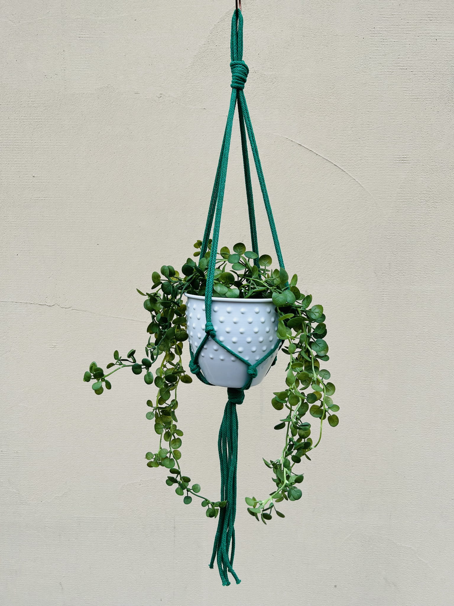 9441ce7ed0f038749302bcba17476717